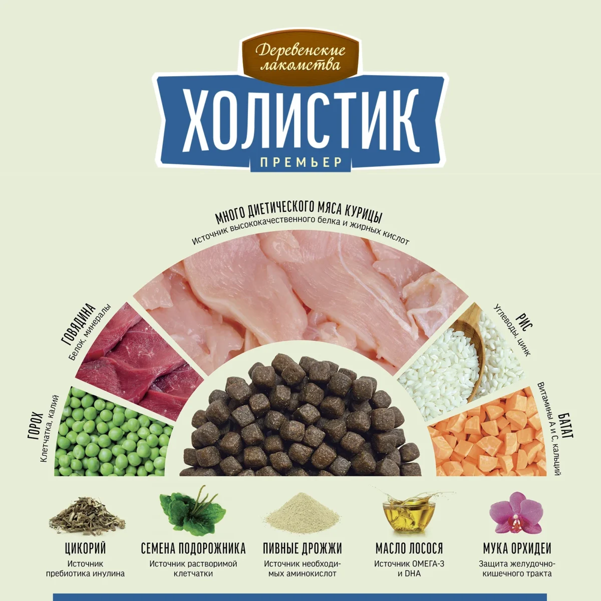 غذا  سگ مینی بالغ داگ فست گوارش حساس | Dog fest با طعم بره وزن 3kg - Image 2