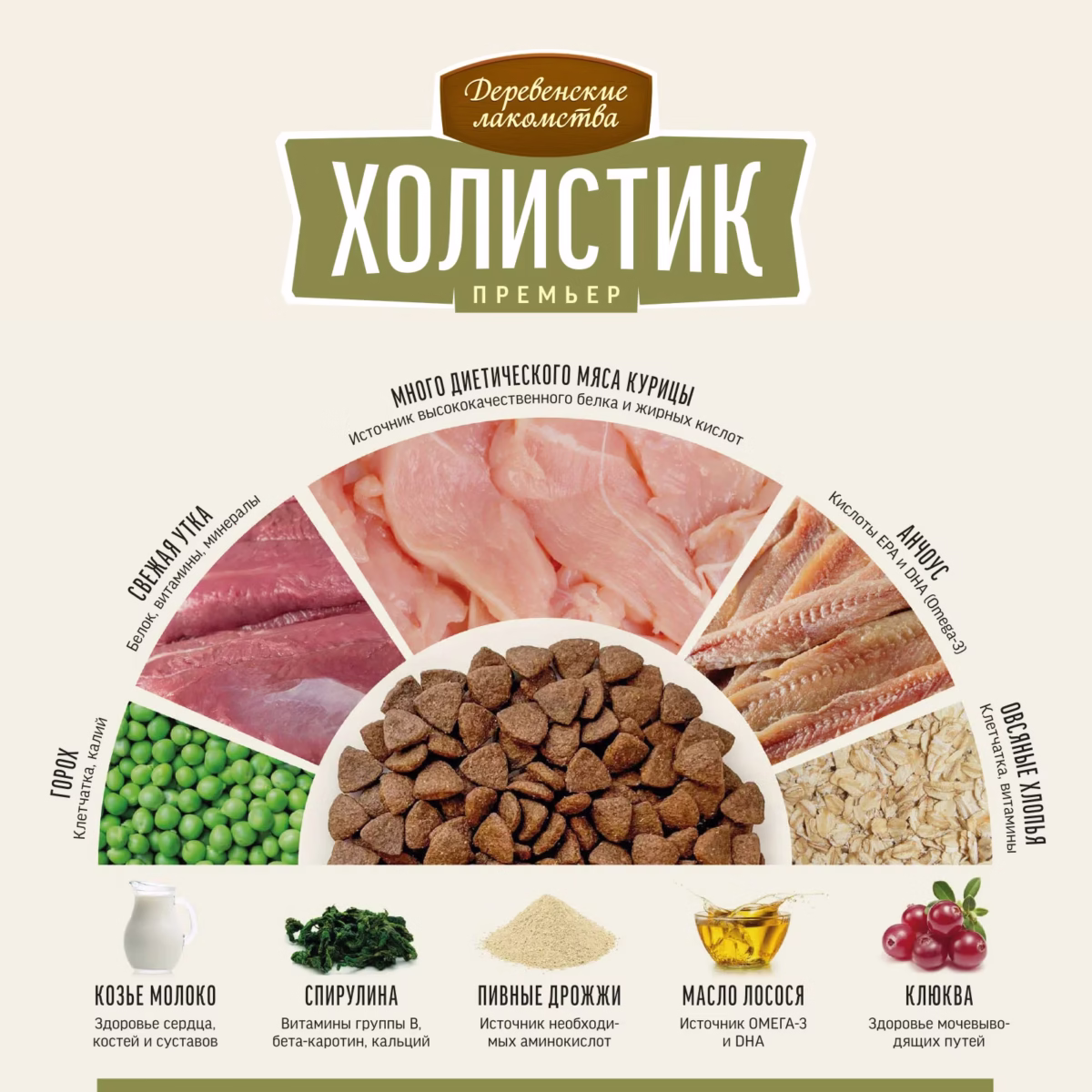 غذا گربه کیتن کت فست | cat fest با طعم مرغ وزن 2kg - Image 2