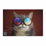 مت ظرف آب و غذا سگ و گربه آریاپت | Aria pet مت آب و غذا سگ و گربه 40*60 cm